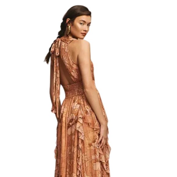 BHLDN NWT High-Neck A-Line Chiffon Gown Bronze Floral Print w/Metallic Accent L - Picture 3 of 15